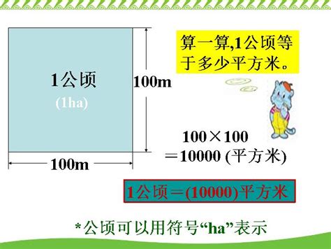 一公頃 幾甲|公頃換算